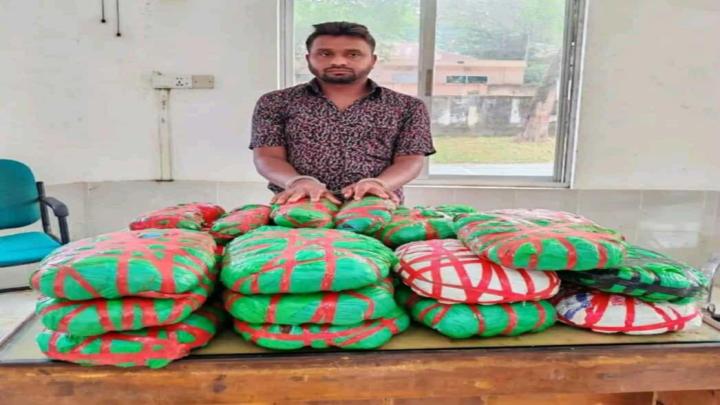 শেরপুরের নালিতাবাড়ীতে ২১ কেজি গাঁজা সহ গ্রেপ্তার-১